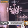 Sunlite 41354-SU LED Filament Chandelier Light Bulb with Flame Tip,