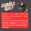 Nu Labs Trampa Para Ratones Ratas De Golpe Reutilizable Dentada