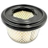 Genuine Lombardini-Kohler Air Filter Cartridge OEM ED0021753060-S 2175.306