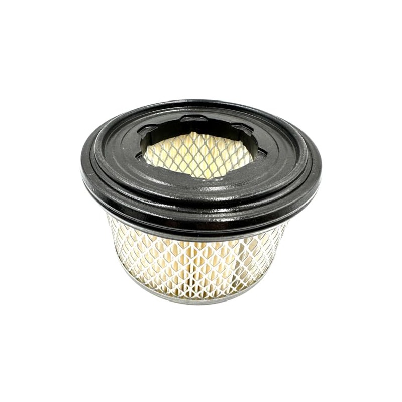 Genuine Lombardini-Kohler Air Filter Cartridge OEM ED0021753060-S 2175.306