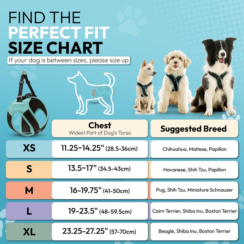 Gooby Escape Free Easy Fit X, Seattle Blue, X-Large