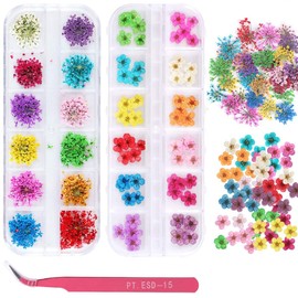 2 Boxes Dried Flowers for Nail Art, EVERMARKET 24 Colors Dry Flowers Mini Real Natural Flowers Nail Art Supplies 3D Applique Nail Decoration Sticker for Tips Manicure Decor (Flowers and Gypsophila)
