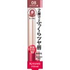 Kiss Me FERME W Color Beauty Serum Rouge 08 Lipstick,