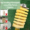 Newness Pineapple Corer with Knife, [Upgraded, Electric & Manual] Stainless