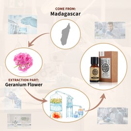 Geranium Essential Oil AKARZ Natural Organic Pure Premium Geranium Oil for Skin Body Hair Care, Diffuser, Candle,Soap,Making, DIY,Massage Aroma 0.34 Fl Oz (10ml)