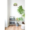 Mkono Plant Propagation Station with Wooden Stand, Wall Hanging Glass