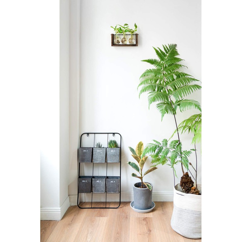 Mkono Plant Propagation Station with Wooden Stand, Wall Hanging Glass