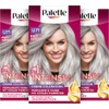 Palette Intensive Cream Colouration U71 Cool Silver Grey (3 x