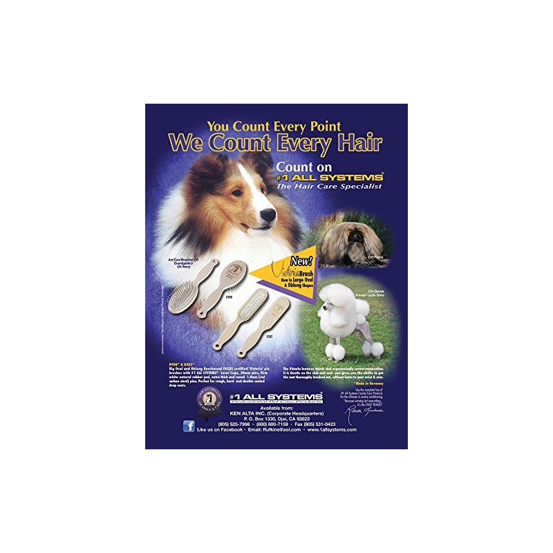 #1 All Systems D908 - Victoria Pin Brush