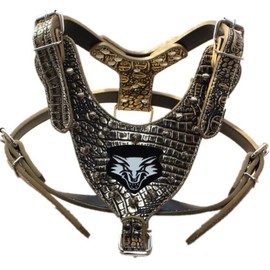 haoyueer Leather Dog Collar Studded Medium Large 2 Piece Matching Set for Pit Bull Mastiff Boxer Bull Terrier (Medium, Golden Brown-1)