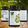 GREEN ROYALTY Nopal 7 Cactus Capsules – Herbal Blend with