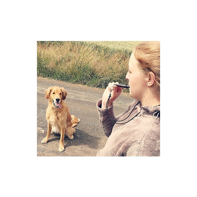 Acme 210.5 Whistle Black, Blue (Snorkel Blue)