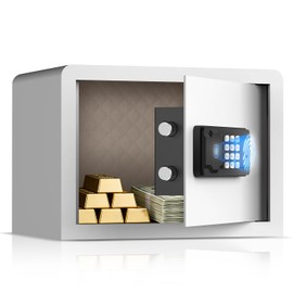 AEGIS Small Biometric Safe with Fingerprint Lock (9.9"D x 13.8"W x 9.9"H), Smart Digital Safe Box with Silent Mode, Backlit Keypad and LED Light for Home Office Dorm