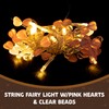 West Ivory 5 feet 20 LED String Fairy Light w/Pink