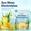 Sea Moss Electrolytes Powder Packets, Zero Sugar Hydration Drink Mix