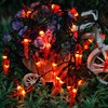 Dreamworth Solar Red Chili String Lights, 50 LED Chili Shape