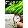 fogman YoYo String YoYo String for Competition High Strength Professional