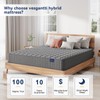 Vesgantti 8 Inch Multilayer Hybrid Twin Mattress - Multiple Sizes
