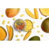 Retro Sours Tangerine + Mango (2 Pack) - Hard Tangy