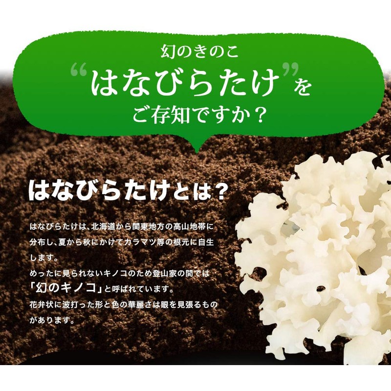 Hanabiratake, 2.8 oz (80 g), 10 Bags, km04, Made in