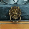 MOLIGOU Lion Head Door Knocker, 6 Inch Decorative Front Door