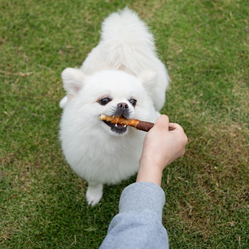 MON2SUN Dog Treats 5 Inch Double Flavor Chicken & Chicken