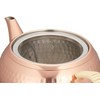 Food comfort studio [Japanese] late 急須 (with strainer) cb546s
