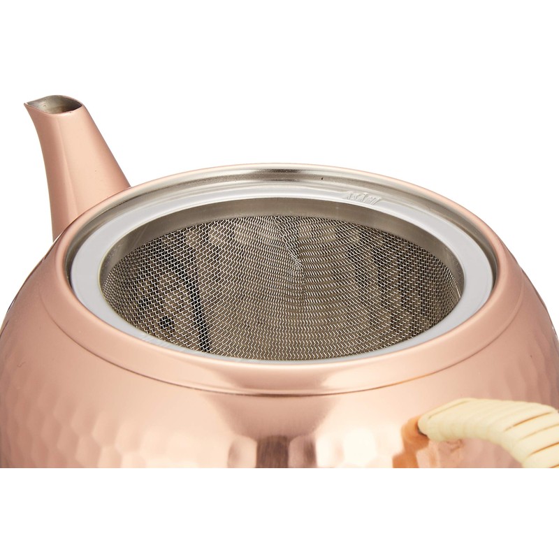 Food comfort studio [Japanese] late 急須 (with strainer) cb546s