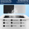 aiyawen 211+ Replacement Filter Compatible with Blue Pure 211+ Air