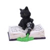 Nemesis Now Mischievous Feline Cat Figurine, Black, 10.5cm