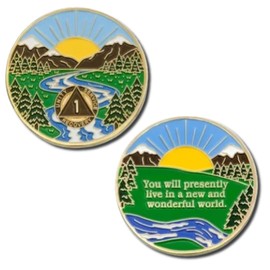 One Year Sobriety Coin - Wonderful World AA Coin - 1 Year AA Chips and Medallions - 1 Year Sober NA AA Celebrate Recovery Addicts - Alcoholics & Narcotics Anonymous Gifts for Men & Women
