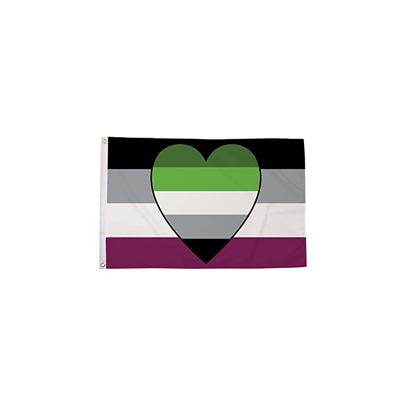 5ft x 3ft (150 x 90 cm) Asexual Aromantic Ace