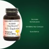 Barlowe's Herbal Elixirs OXYSTORM N.O. EXPLOSION |500mg | 60 Vegi-Caps