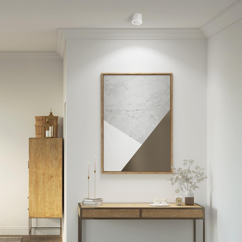 EDO Zalda OV Surface-Mounted Spotlight, White, Round, Extra Flat, Swivelling