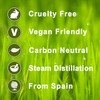 Oregano 100% Essential Aromatherapy Oil 50ml