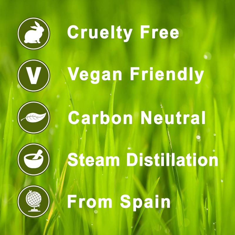 Oregano 100% Essential Aromatherapy Oil 50ml