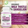 Max Absorption USDA Organic Milk Thistle Potent 5:1 Concentrated Extract
