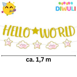 DIWULI Hello World Garland Pink Girls, Welcome Home Hello World Baby Garland Sweet, Birth, Baby Shower Decoration, Baby Shower, Children's Birthday, Welcome Home Baby Party Decoration, Banner,