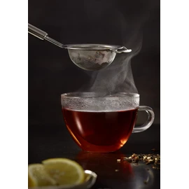 ROSLE 95248 Tea Strainer – fine mesh 18-10 Steel Silver