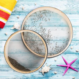 6/8/10/12 Inch Ocean Drum, 1/4 Counts Portable Sea Wave Drum For Meditation & Relaxation, Musical Sound Healing Instrument For Stress Relief:_wood color_20cm/8inch