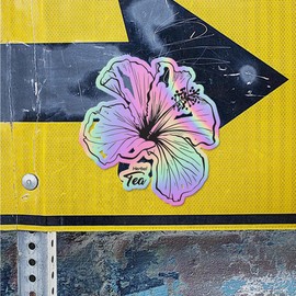 Holographic Decal Stickers of Rose Premium Waterproof Vinyl Decal Stickers for Laptop Phone Accessory Helmet Car Window Mug Tuber Cup Door Wall Decoration - USCVER360309bHO0124