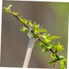 Gatuida 6Pcs Aluminium Alloy Tree Branch Support Kit for Propping