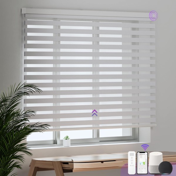 Astomi Motorized Zebra Blinds, Smart Blinds, Electric Roller Blinds with
