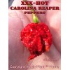 Magic Plant Farms Carolina Reaper SMOKED Pepper Powder - World's