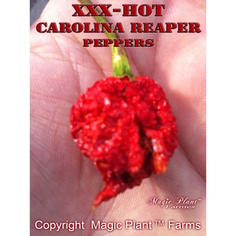 Magic Plant Farms Carolina Reaper SMOKED Pepper Powder - World's