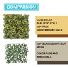 Coarbor 20 Packs 20" x 20" Artificial Boxwood Yellow Reineckea
