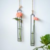 Sziqiqi Hanging Clear Glass Propagation Tube Vase for Cuttings, Hydroponic
