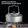 Aomiun Portable Titanium Kettle Set with Stainless Steel Cups -