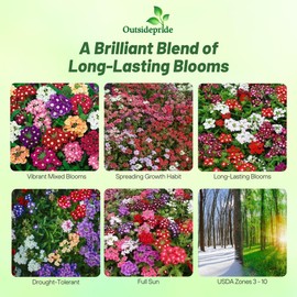 Outsidepride Mix Verbena Seeds for Planting - 1000 Pcs. Annual, Drought Tolerant & Easy to Grow, Ground Cover with Fragrant & Vibrant Blooms for Window Boxes, Borders & Pollinator Gardens