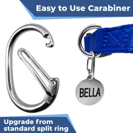 GoTags Pet Tag Carabiner, Stainless Steel Cat and Dog Tag Clip, Strong Durable Quick Connect to Pet Collars, Easy Upgrade for Split Ring Small and Large, Pack of 1